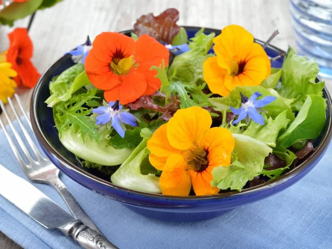 Essbare Blumen: Mehr Farbe, Geschmack und Spaß auf dem Teller